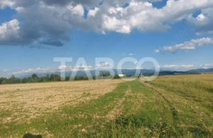 Teren extravilan 16500 mp front 47 m acces auto zona aerodrom Cisnadie - imagine 4