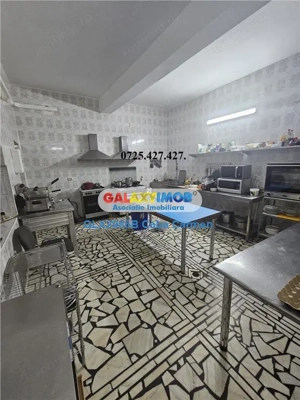 Vanzare Pensiune Solinia+Restaurant+piscina+debarcader-Dunavatu de Jos - imagine 20
