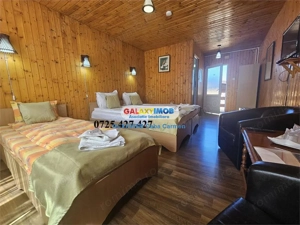 Vanzare Pensiune Solinia+Restaurant+piscina+debarcader-Dunavatu de Jos - imagine 18