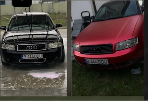 colantari auto 