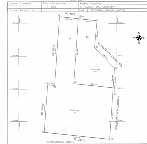 OPORTUNITATE INVESTIȚIE | Teren Intravilan 8500 mp Slobozia   Deschidere 26 ml DN 2A - imagine 3