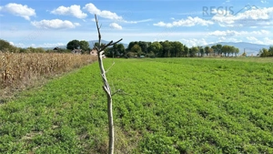 Stupini: Teren 3600mp, Front 16.5m la Asfalt, Utilitati - imagine 5