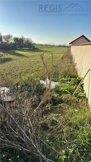 Stupini: Teren 3600mp, Front 16.5m la Asfalt, Utilitati - imagine 3