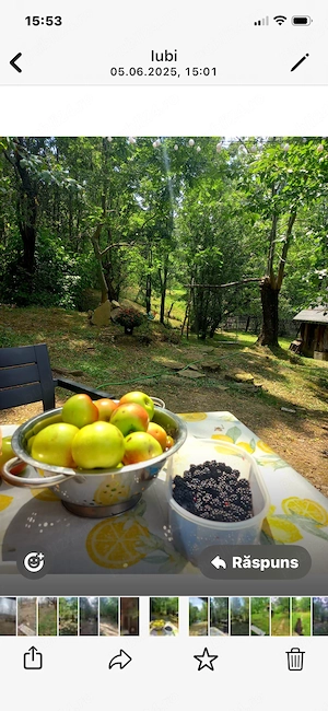 Telega săt Buatenari PH teren si casa de vânzare  - imagine 5