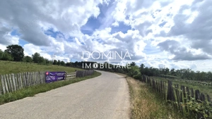 Vânzare teren intravilan *3262 mp -  Baia de Fier - potențial turistic* - imagine 3