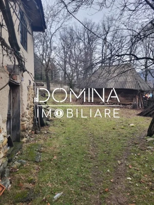 Teren generos 4790 mp + casă tradițională, în loc. Mușetești - imagine 2