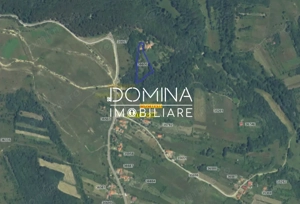 Teren generos 4790 mp + casă tradițională, în loc. Mușetești - imagine 3