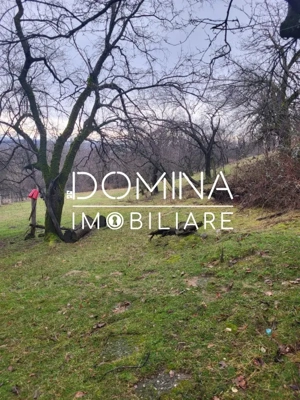 Teren generos 4790 mp + casă tradițională, în loc. Mușetești - imagine 6