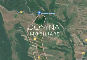 Teren generos 4790 mp + casă tradițională, în loc. Mușetești - imagine 4