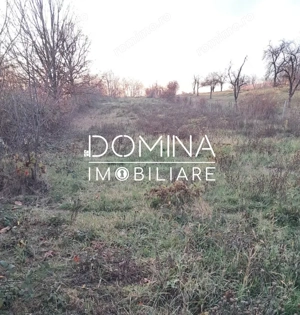 Vânzare teren intravilan 3100 mp – Novaci – ideal investiție turistică  - imagine 4