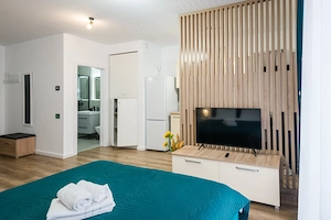 Vanzare studio Sinaia - imagine 8