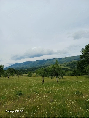 Teren extravilan