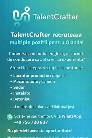   TalentCrafter recrutează pentru OLANDA! pentru cunoscatori de limba engleza (nivel conversati)