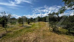 Proprietate de vanzare, 60 mp, teren 1.600 mp, Vintu de Jos - imagine 5