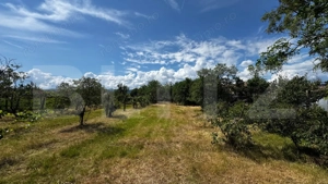 Proprietate de vanzare, 60 mp, teren 1.600 mp, Vintu de Jos - imagine 3