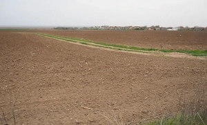 Teren arabil extravilan 10.000 mp (1 Ha)   Umbrărești, Galați (Acte la zi) - imagine 3