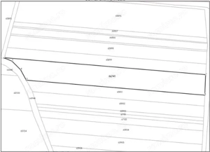 Teren industrial 4.376 mp – Brănești | acces DN3 și A2 | - imagine 2
