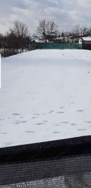 teren 900m2 Valea Salciilor Buzau