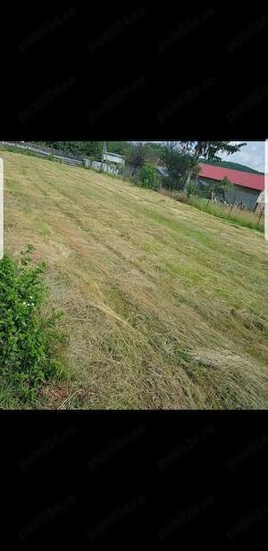 teren 900m2 Valea Salciilor Buzau - imagine 2