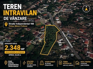 Teren 2348 mp - Ultracentral Baicoi, Tintea Ideal pentru Locuinta Investitie - imagine 2