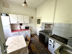 Casa individuala cu gradina - Lunei – oportunitate rara de investitie  - imagine 9