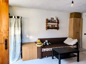 Casa cu piscina la Boiu de sus, jud  Hunedoara  - imagine 9