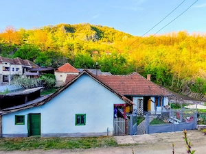 Casa cu piscina la Boiu de sus, jud  Hunedoara  - imagine 2