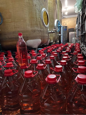 Vinuri la pret de producator(Crama Panciu)