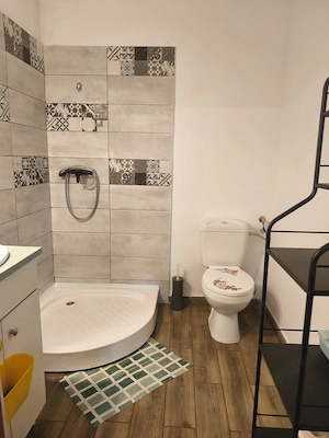 Casa cu piscina la Boiu de sus, jud  Hunedoara  - imagine 8