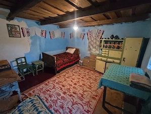 Casa cu piscina la Boiu de sus, jud  Hunedoara  - imagine 6