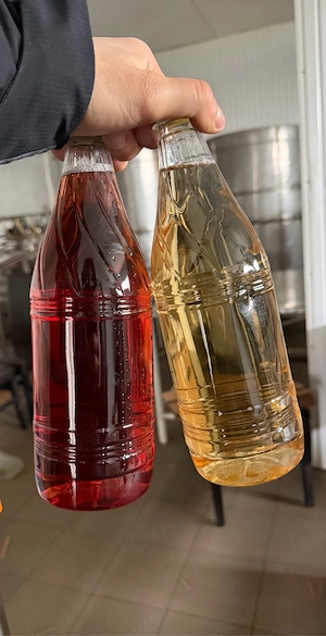 Vin natural Panciu 