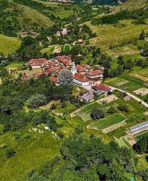 Vând casă județul bihor localitate Cîmp