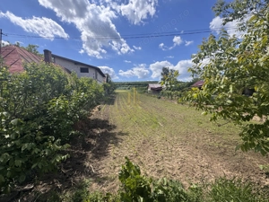 TEREN 2.900 MP ÎN ZONA CENTRALĂ LIPOVENI – ACCES DIRECT LA ASFALT - imagine 7
