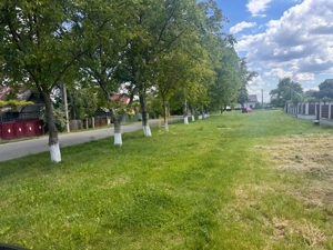TEREN 2.900 MP ÎN ZONA CENTRALĂ LIPOVENI – ACCES DIRECT LA ASFALT - imagine 4