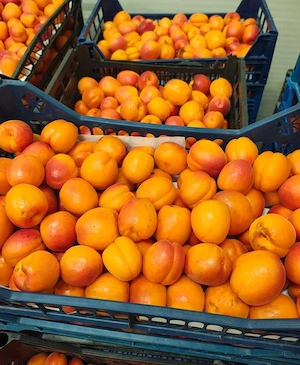 Fructe si legume 