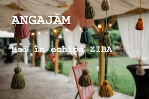 Angajam Ospatar, Ajutor pizzer, Asistent Manager (hostesa)