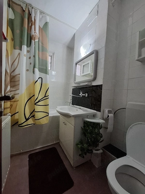 Se oferă spre inchiriere  - imagine 5