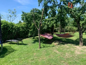 Casa de vanzare cu 3 camere si teren de 540 mp, zona Freidorf - imagine 7