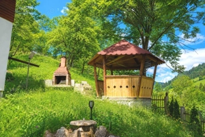  CASĂ CU TEREN 644 MP | TELEC – BICAZU ARDELEAN | GARAJ • FOIȘOR • GRĂTAR - imagine 5