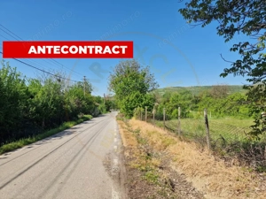 Teren  intravilan Calinesti - Arges