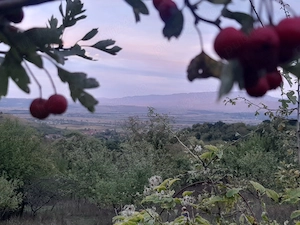 4300eu-Ținutul Padurenilor jud Hunedoara
