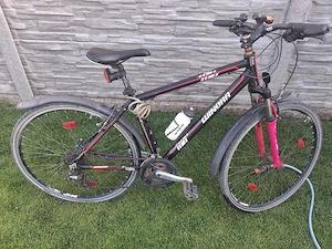 Bicicleta Winora Dubai Crossline - imagine 3