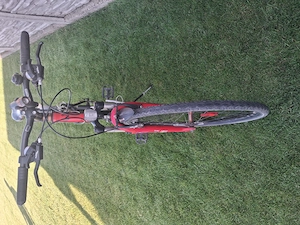 Bicicleta Winora Dubai Crossline