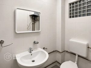 Spatiu la parter,  66 mp, Piata Avram Iancu - imagine 4