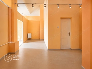 Spatiu la parter,  66 mp, Piata Avram Iancu - imagine 2