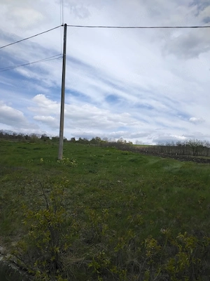 Teran 4500mp   Hudesti-Lupeni (jud.Botosani) - imagine 2