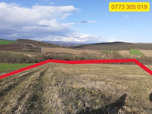 Vând -Schimb Teren extravilan Jeledinți între Simeria 15km și Orăștie 10k Deva 20k posibil Apă Canal