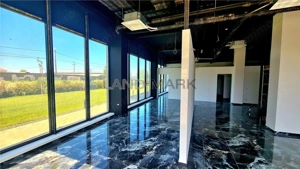 Spatiu  Comercial de inchiriat , bloc nou, zona Mehala - imagine 8