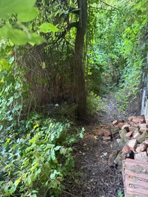 Casă demolabilă, 76.21 mp, teren 287.50 mp, zona Catargiu - imagine 3
