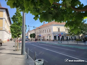 Apartament deosebit la casă - Ultracentral Cluj-Napoca - Zona Strada Ferdinand - imagine 2